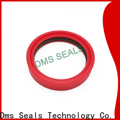 DMS Seal Manufacturer hot sale rubber seal molding supplier