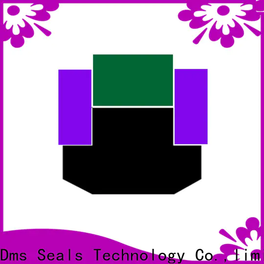 DMS Seal Manufacturer pneumatic piston seals glyd ring for light and medium hydraulic systems