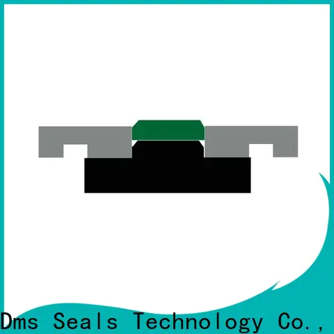 DMS Seal Manufacturer High-quality piston seal hydraulic Supply for sale