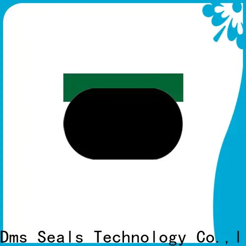 DMS Seal Manufacturer hydraulic cylinder seals and wipers with nbr or fkm o ring for pneumatic equipment
