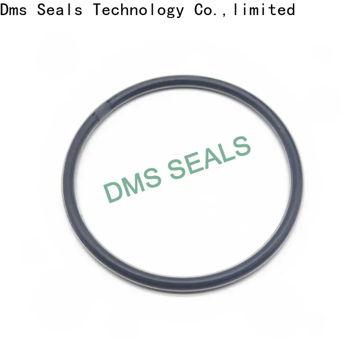DMS Seal Manufacturer round rubber ring Supply for static sealing
