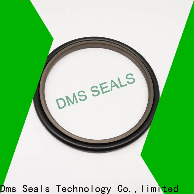DMS Seal Manufacturer bronze filled perfect circle piston rings o ring