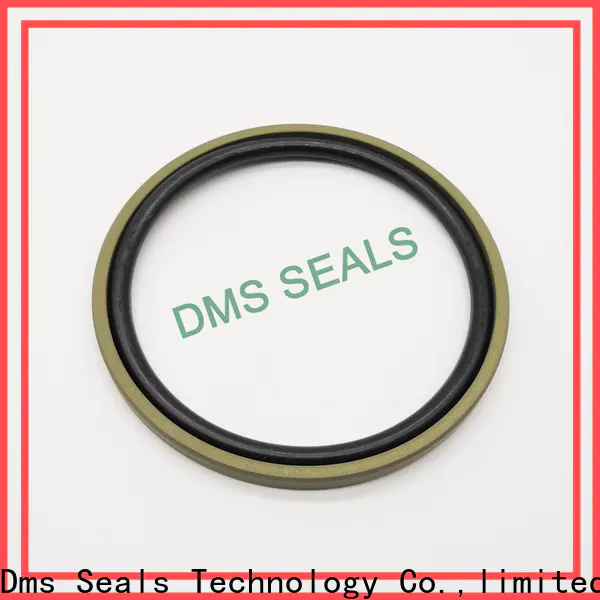 hot sale oil seal manufacturers china supplier for larger piston clearance