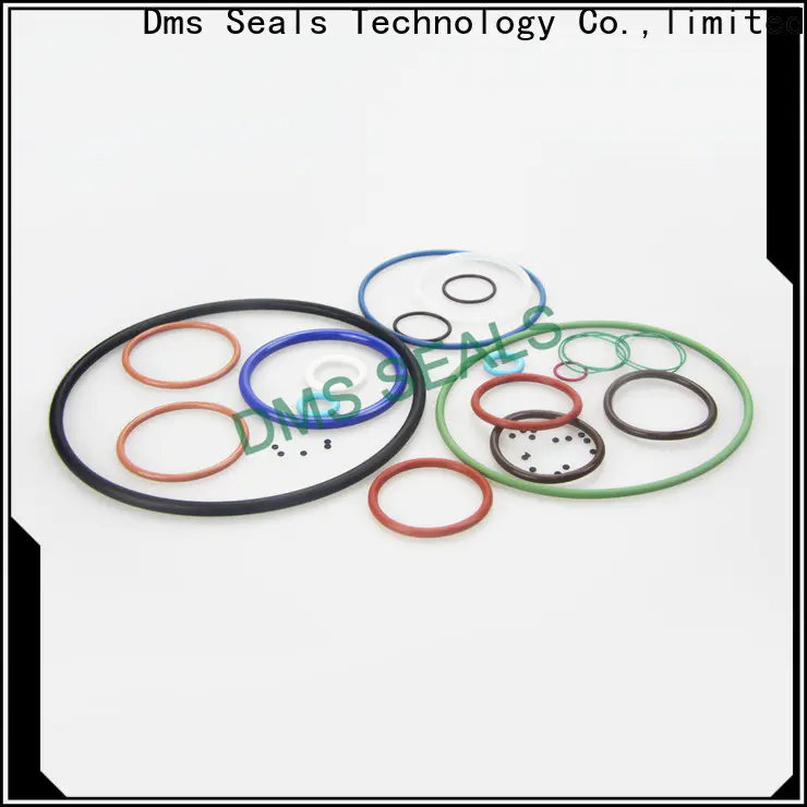 DMS Seal Manufacturer 5.5 inch o ring Suppliers in highly aggressive chemical processing