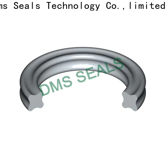 DMS Seal Manufacturer black silicone o ring Suppliers in highly aggressive chemical processing