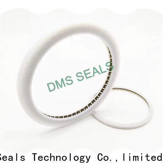 DMS Seal Manufacturer spiral spring gasket factory for reciprocating piston rod or piston single acting seal