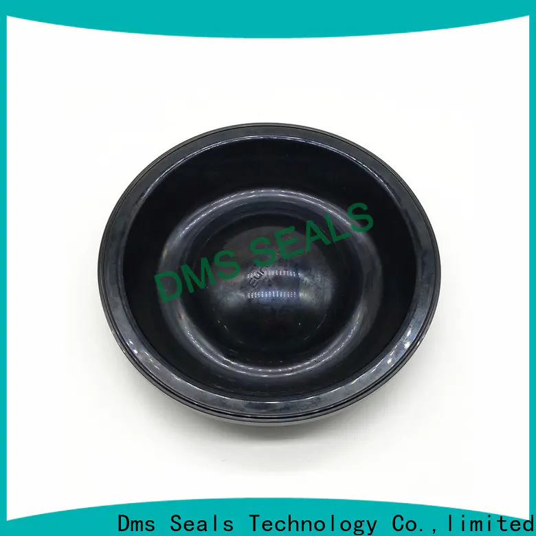 DMS Seal Manufacturer metal h section rubber seal with valuable elasticity for air bottle