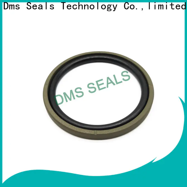 DMS Seal Manufacturer merkel piston seal Suppliers for pneumatic equipment