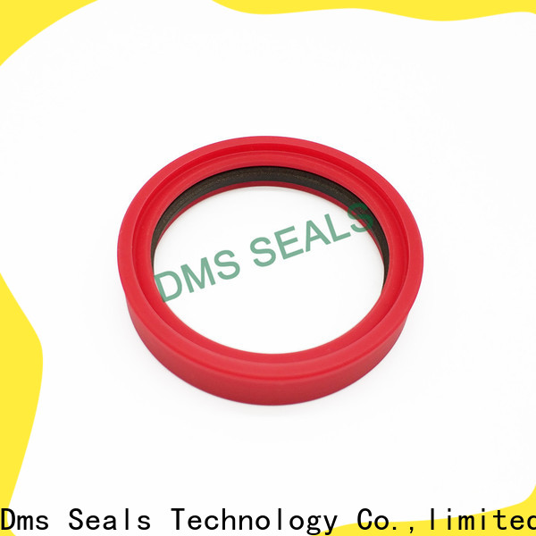 DMS Seal Manufacturer hot sale lip seal manufacturers glyd ring for larger piston clearance
