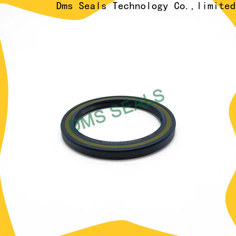DMS Seal Manufacturer industrial shaft seals with low radial forces for housing
