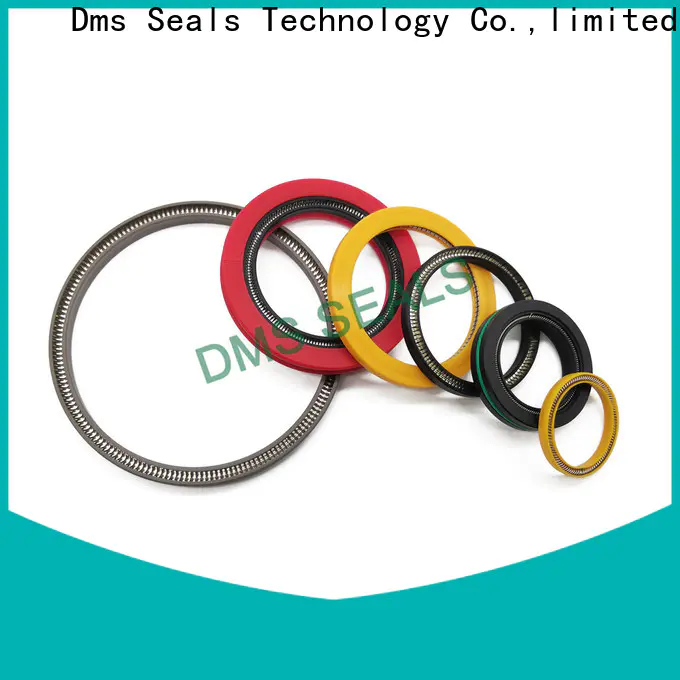 DMS Seal Manufacturer garter spring seal company for reciprocating piston rod or piston single acting seal