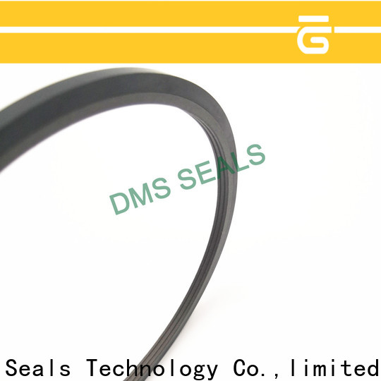 DMS Seal Manufacturer best molded rubber seals o ring for piston and hydraulic cylinder