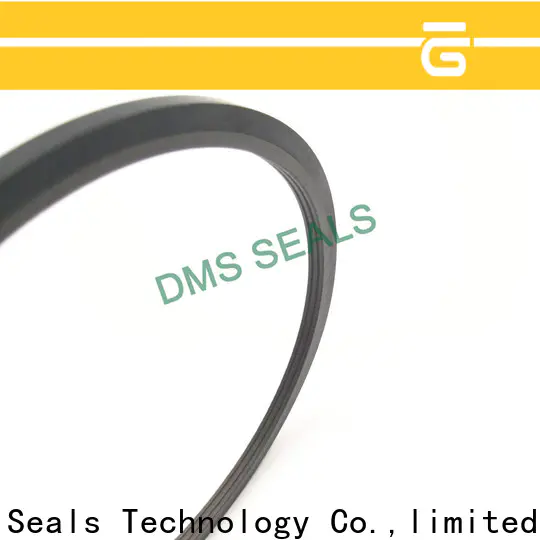 DMS Seal Manufacturer best molded rubber seals o ring for piston and hydraulic cylinder