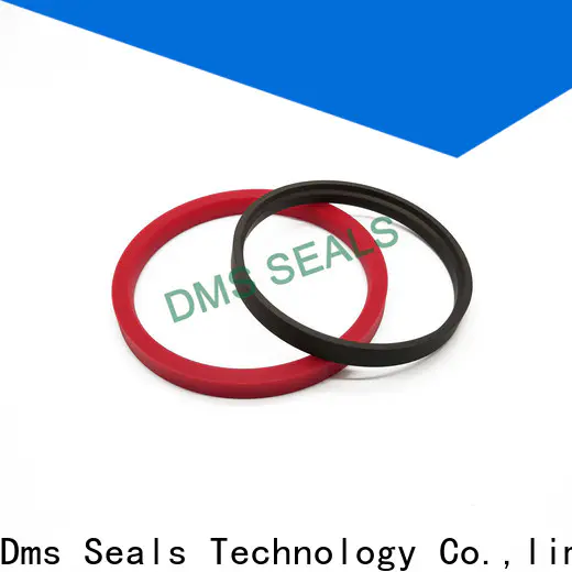 DMS Seal Manufacturer custom epdm seals suppliers supplier for piston and hydraulic cylinder