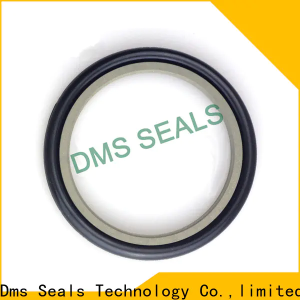 DMS Seal Manufacturer mechanical seals pune o ring for piston and hydraulic cylinder