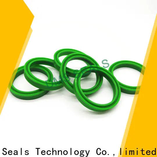 DMS Seal Manufacturer hydraulic oil seal supplier for larger piston clearance