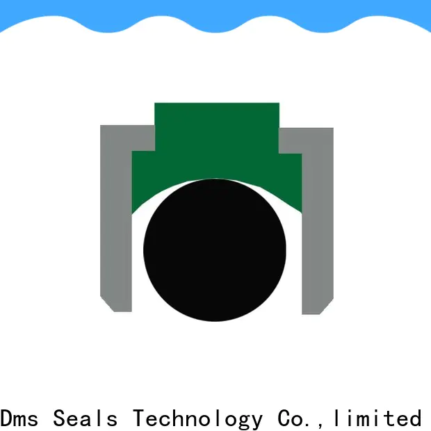 DMS Seal Manufacturer hydraulic piston seals suppliers Suppliers for pneumatic equipment