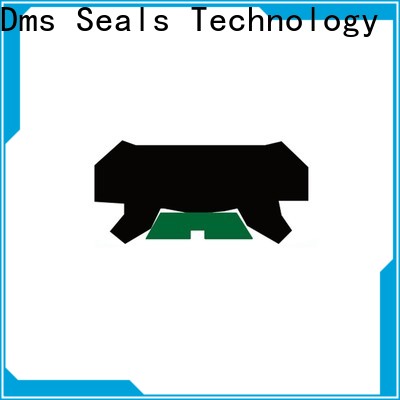 DMS Seal Manufacturer custom oil seals for pressure work and sliding high speed occasions