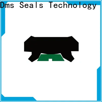 DMS Seal Manufacturer custom oil seals for pressure work and sliding high speed occasions