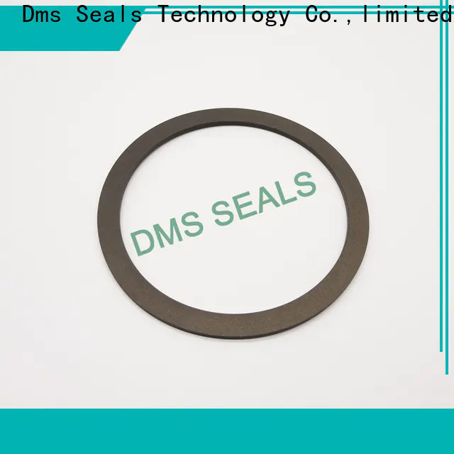 DMS Seal Manufacturer rubber gasket for sheet metal material for liquefied gas