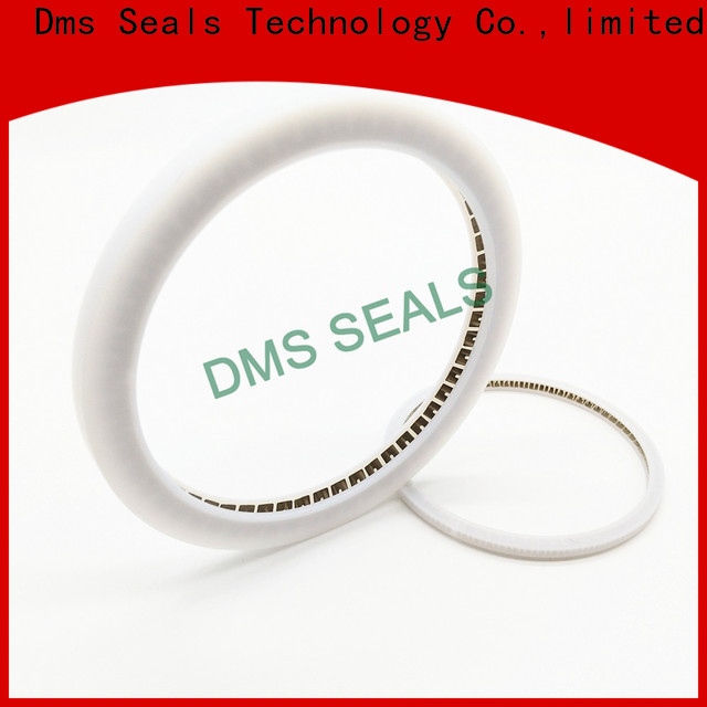 DMS Seal Manufacturer Custom spiral spring gasket Supply for reciprocating piston rod or piston single acting seal