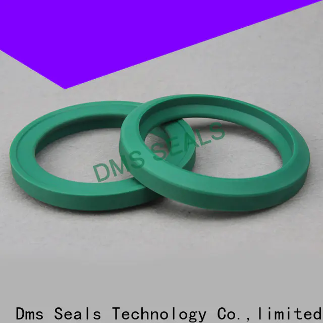 compact lead seal manufacturers glyd ring for larger piston clearance