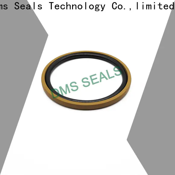 DMS Seal Manufacturer hydraulic seal kit manufacturers Supply for sale