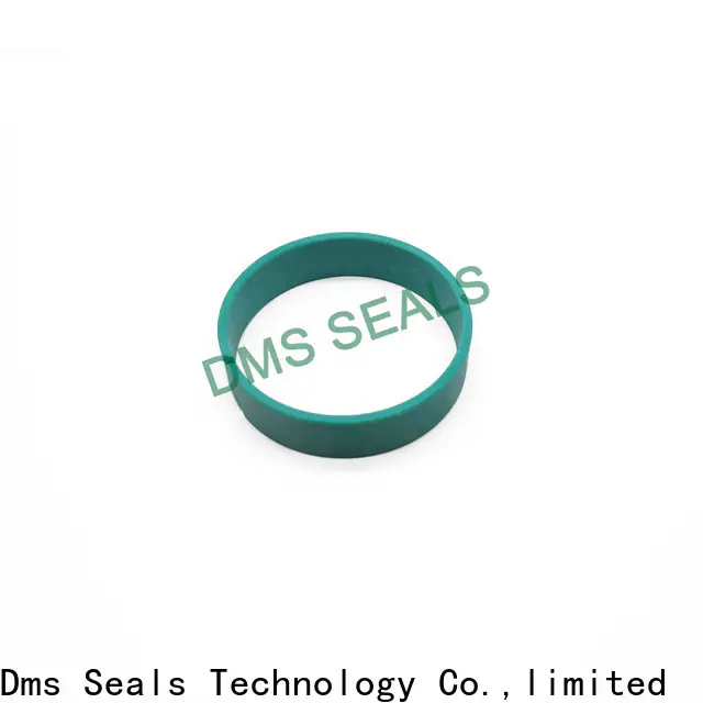 DMS Seal Manufacturer Custom oil seal manufacturer Supply as the guide sleeve