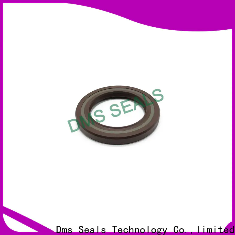 double lip oil seal plug with integrated spring for housing