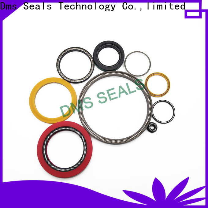 DMS Seal Manufacturer spring energized seals manufacturers for reciprocating piston rod or piston single acting seal
