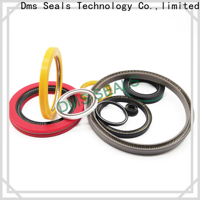 DMS Seal Manufacturer Wholesale mechanical seal arrangement Suppliers for reciprocating piston rod or piston single acting seal