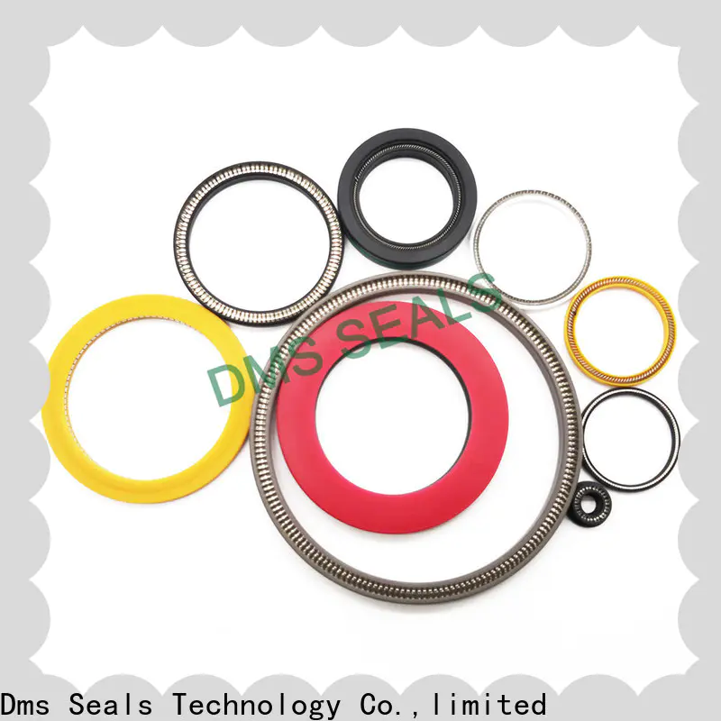DMS Seal Manufacturer New spring energized seals manufacturers for aviation