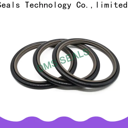 DMS Seal Manufacturer hydraulic oil seal glyd ring for larger piston clearance