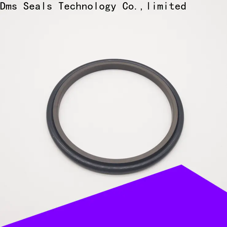 DMS Seal Manufacturer custom mechanical engineering seal glyd ring for piston and hydraulic cylinder