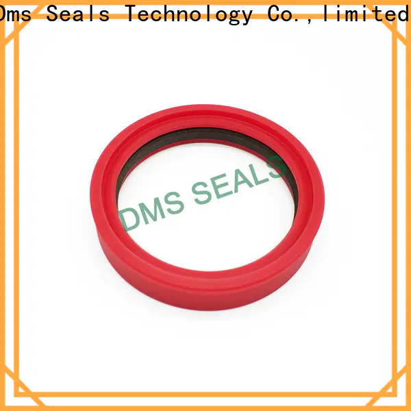 DMS Seal Manufacturer ptfe rubber seals and gaskets suppliers wholesale for piston and hydraulic cylinder