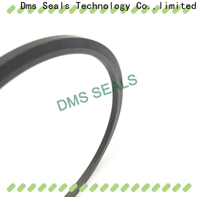 bronze filled lip seal vs mechanical seal o ring for larger piston clearance