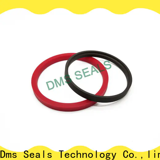 hot sale lip seal manufacturers o ring for larger piston clearance