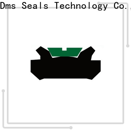 DMS Seal Manufacturer hydraulic cylinder seals and wipers factory for light and medium hydraulic systems