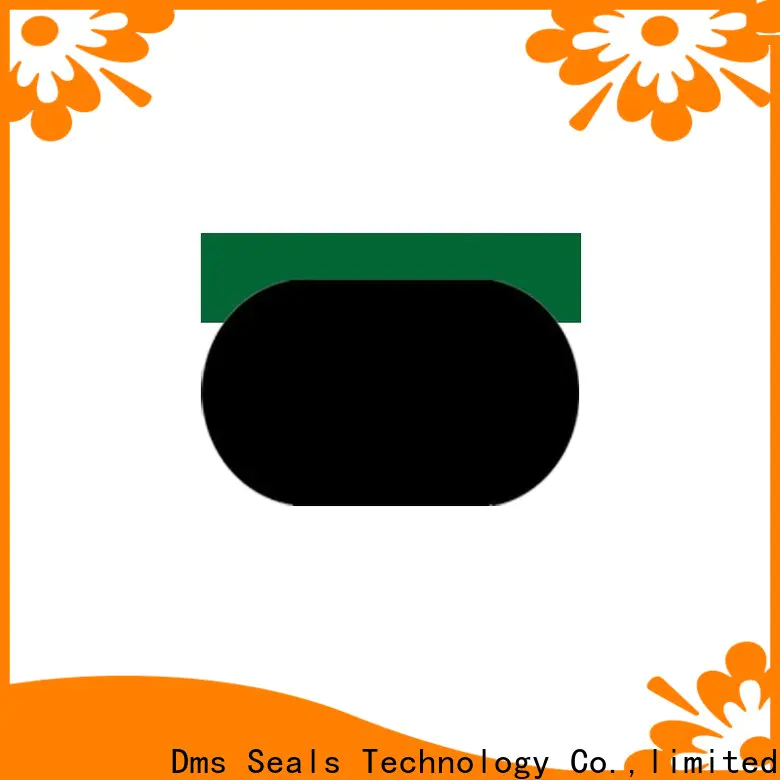 DMS Seal Manufacturer hyd cylinder seal kit glyd ring for light and medium hydraulic systems