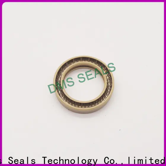 DMS Seal Manufacturer spring loaded double lip seal factory for aviation