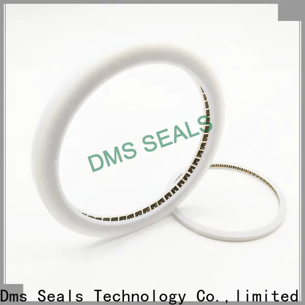 DMS Seal Manufacturer Best rotary seal design company for aviation