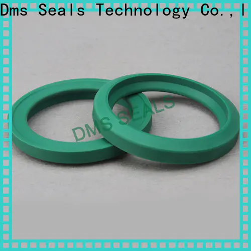 DMS Seal Manufacturer ptfe double acting mechanical seal glyd ring
