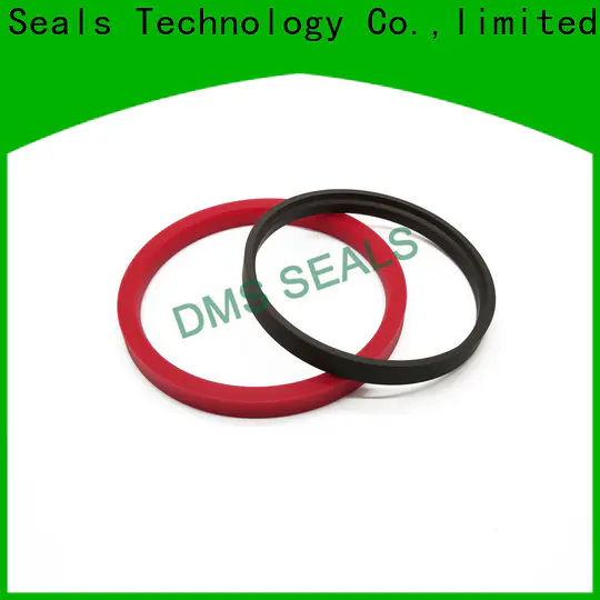 DMS Seal Manufacturer best packing seal vs mechanical seal glyd ring for piston and hydraulic cylinder
