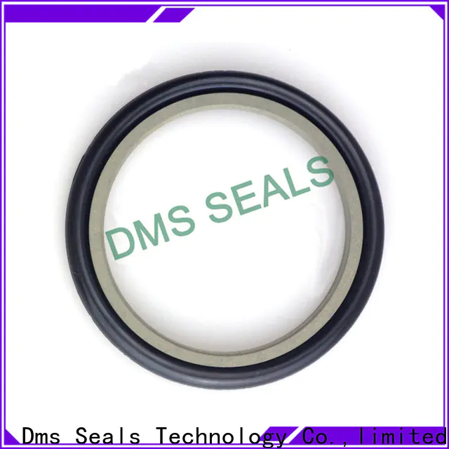 DMS Seal Manufacturer bronze filled hydraulic ram seals o ring for larger piston clearance
