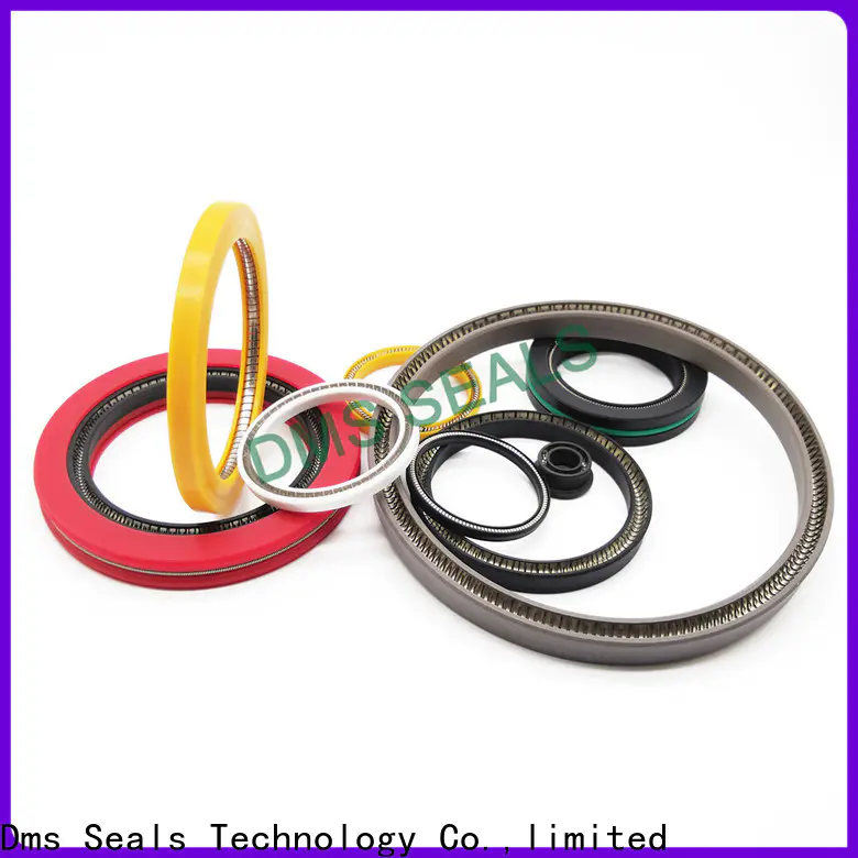 DMS Seal Manufacturer spring loaded seal Suppliers for reciprocating piston rod or piston single acting seal