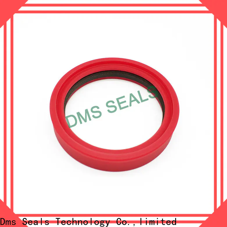 DMS Seal Manufacturer mechanical seal buyer o ring for larger piston clearance