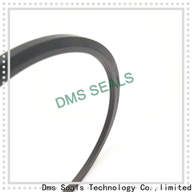 DMS Seal Manufacturer bronze filled sunny oil seal manufacturer supplier for larger piston clearance