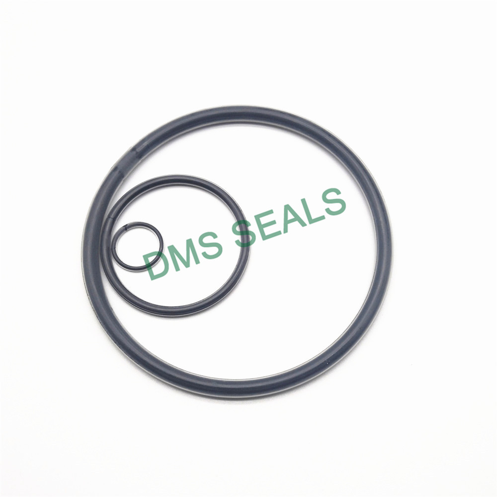 video-DMS Seals rubber white silicone o rings wholesale for sale-DMS Seals-img-1