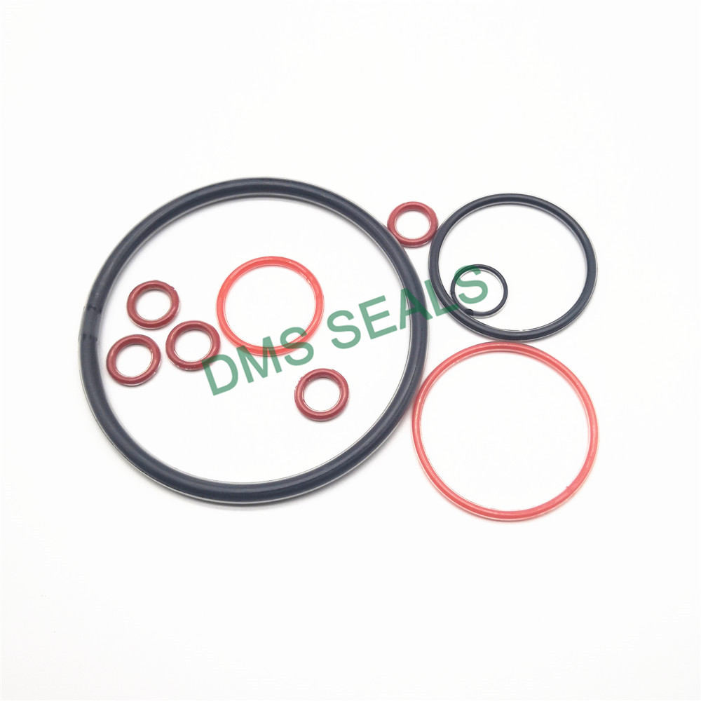 product-DMS Seals-DMS Seals Latest metric o rings for sale vendor for sale-img
