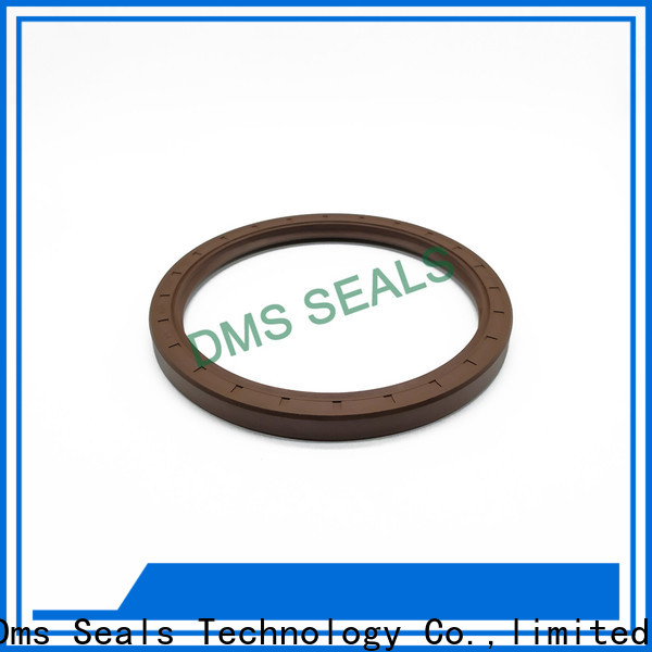 DMS Seal Manufacturer professional oil seal drawing with integrated spring for sale